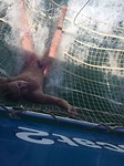 IMG-20180221-WA0001