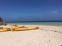 IMG-20180225-WA0012