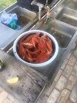 IMG-20180304-WA0003