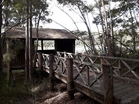 20180311_093117
