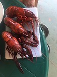 IMG-20180314-WA0035