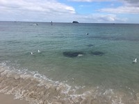 IMG-20180314-WA0023