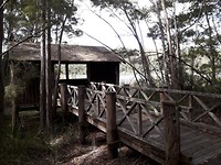 20180311_093117