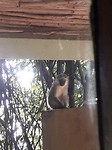 20180412_071207
