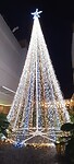 Kerstboom