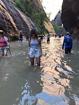 IMG_3225