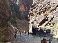 IMG_3231