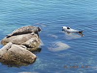 IMG_0752