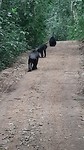 IMG-20190803-WA0005