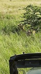 20190804_161812