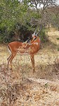 20190810_105834