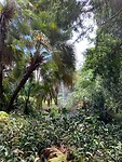 IMG_8900