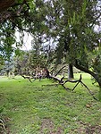 IMG_8907