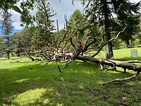 IMG_8908