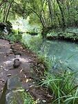 IMG_8917