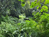 IMG_8918