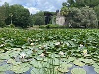IMG_8925