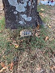 Blog 26 juli (215)