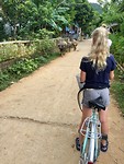 Fietsen door de rijstvelden!