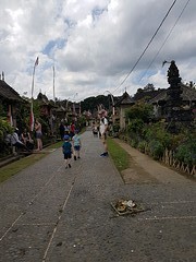 Hoofdstraat in Pengelipuran