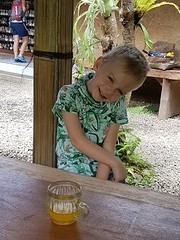 Lemongrassthee