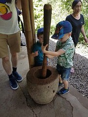Kopi luwak maken