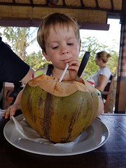 Dorst! De kokosnoot was groter dan zijn hoofd 