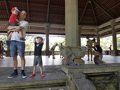 Familie aap