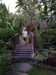Tuin bij de villa
