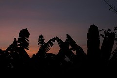 Zonsondergang vanaf onze villa