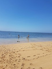 Zwemmen in de zee