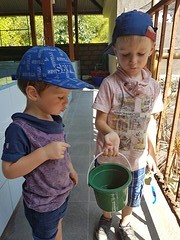 Nog even goed kijken naar onze baby schildpad