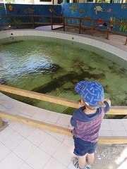 Schildpad was groter dan Toby zijn lijfje