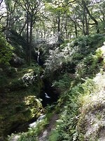 Waterval