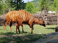 20180505_121322