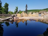 20180505_121203