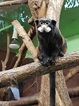 20180505_143420