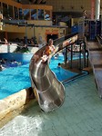 20180507_131710(0)