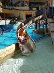 20180507_131711