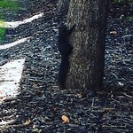 IMG_20180729_152857_770