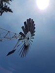 20180729_133442