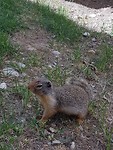 20180730_120353