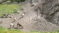 20180801_140646