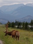 20180803_090820