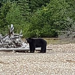 IMG_20180804_191938_257