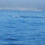 IMG_20180809_191110_409