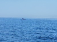 20180809_160738