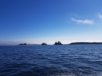 20180809_162948