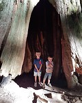 IMG_20180810_112254_262