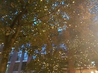 20180810_205937